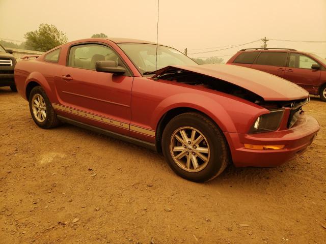 Photo 4 from auction – 2006 FORD MUSTANG with VIN 1ZVFT80N965241981
