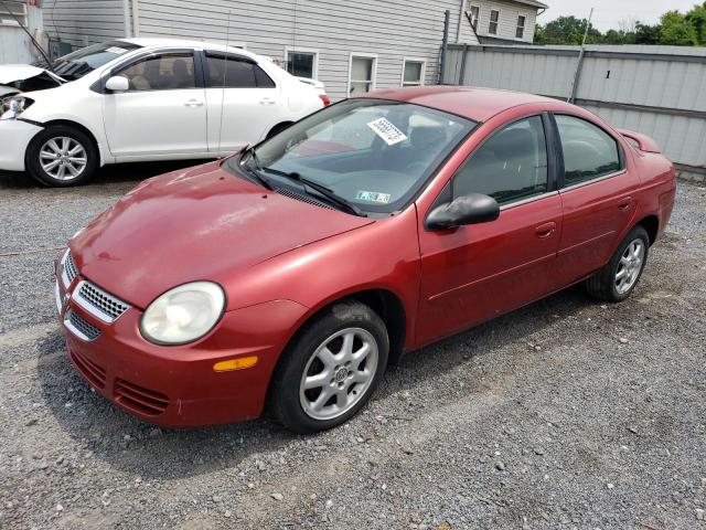 DODGE NEON SXT 2005 with VIN 1B3ES56C55D210576 - Photo from auction