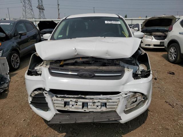 Photo 5 from auction – 2014 FORD ESCAPE SE with VIN 1FMCU0GX5EUD87757