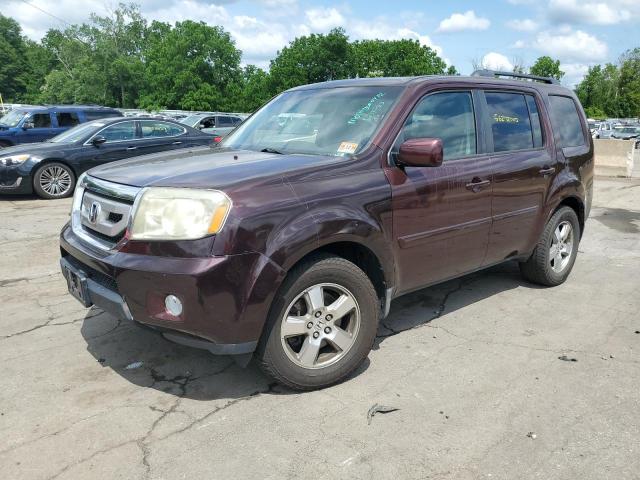 HONDA PILOT EXL 2009 z numerem VIN 5FNYF48529B038532 - Zdjęcie z aukcji