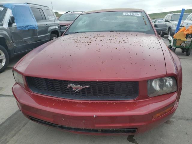 Photo 5 from auction – 2005 FORD MUSTANG with VIN 1ZVFT84N155225136