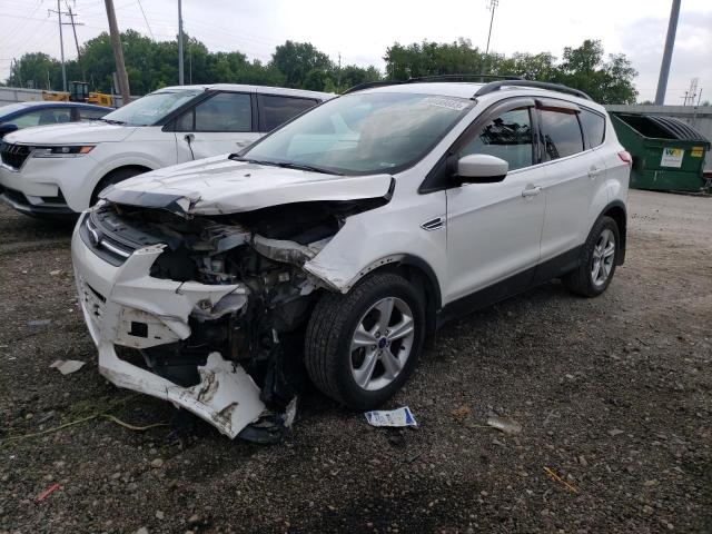 FORD ESCAPE SE 2014 with VIN 1FMCU9G96EUD61318 - Photo from auction