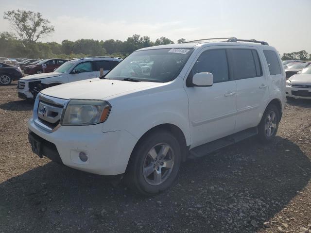 HONDA PILOT EXL 2011 with VIN 5FNYF4H50BB020374 - Photo from auction
