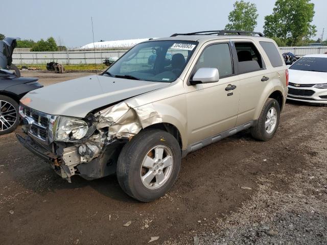 FORD ESCAPE XLT 2011 with VIN 1FMCU0D71BKC50083 - Photo from auction