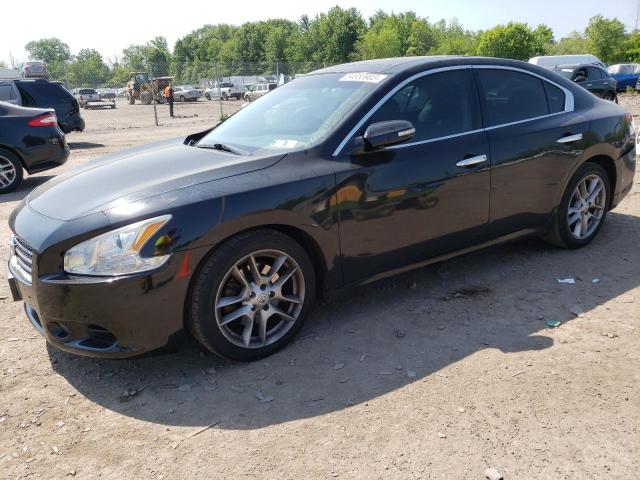 NISSAN MAXIMA S 2011 with VIN 1N4AA5AP8BC808677 - Photo from auction