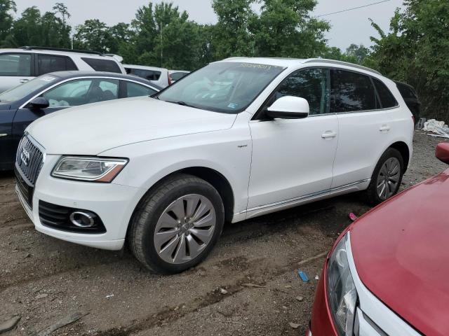 AUDI Q5 PREMIUM 2013 with VIN WA1C8AFP6DA008047 - Photo from auction