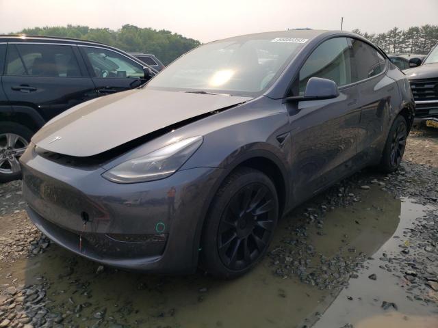TESLA MODEL Y 2023 with VIN 7SAYGDEE0PF689336 - Photo from auction