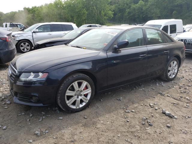 AUDI A4 PREMIUM 2010 with VIN WAUBFAFL2AN023814 - Photo from auction