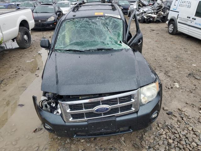 Photo 5 from auction – 2009 FORD ESCAPE XLT with VIN 1FMCU937X9KB08170