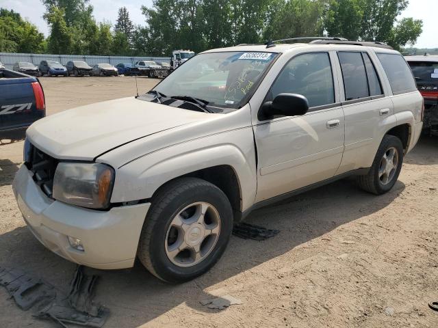 Photo 1 from auction – 2009 CHEVROLET TRAILBLAZE with VIN 1GNDT33S292112251