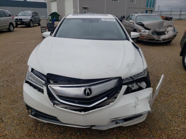 Photo 5 from auction – 2015 ACURA TLX TECH with VIN 19UUB2F57FA800552