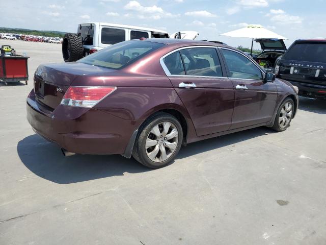 Photo 3 from auction – 2010 HONDA ACCORD EXL with VIN 5KBCP3F85AB004136