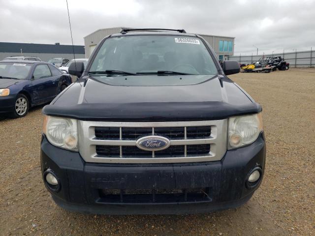 Photo 5 from auction – 2009 FORD ESCAPE XLT with VIN 1FMCU93G59KC44643