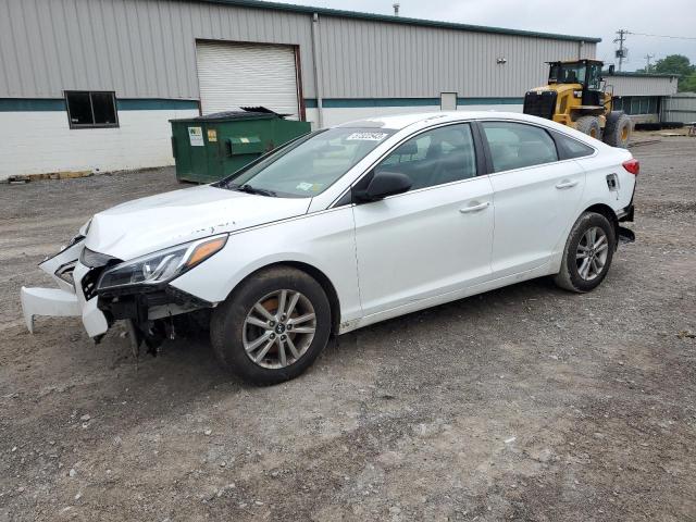 HYUNDAI SONATA SE 2017 with VIN 5NPE24AF4HH511588 - Photo from auction