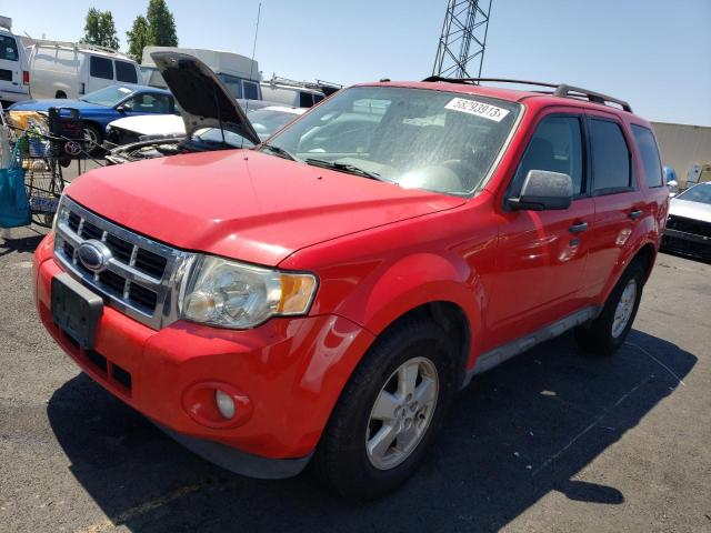 Photo 1 from auction – 2009 FORD ESCAPE XLT with VIN 1FMCU03G09KA44605