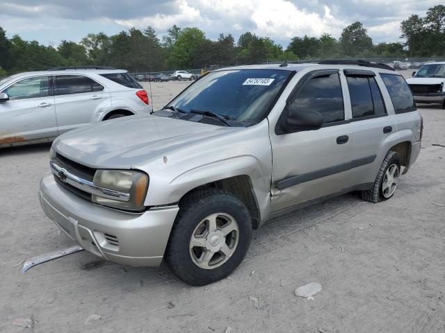 CHEVROLET TRAILBLAZE 2005 with VIN 1GNDT13S452335227 - Photo from auction