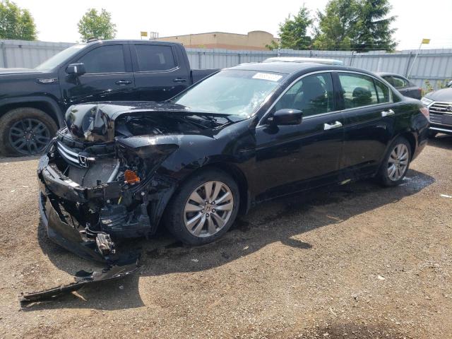 HONDA ACCORD EXL 2011 with VIN 1HGCP3F85BA800752 - Photo from auction
