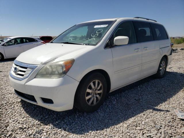 Photo 1 from auction – 2009 HONDA ODYSSEY EX with VIN 5FNRL38649B025264