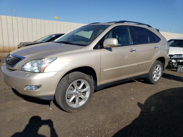 LEXUS RX 350 2008 with VIN 2T2HK31U18C087386 - Photo from auction
