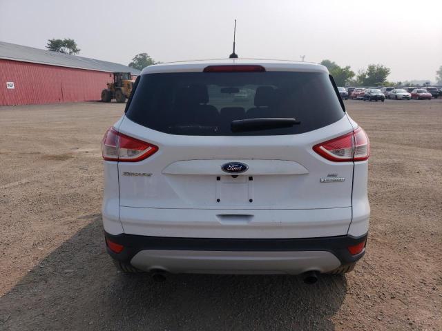 Photo 6 from auction – 2014 FORD ESCAPE SE with VIN 1FMCU0GX2EUC55409