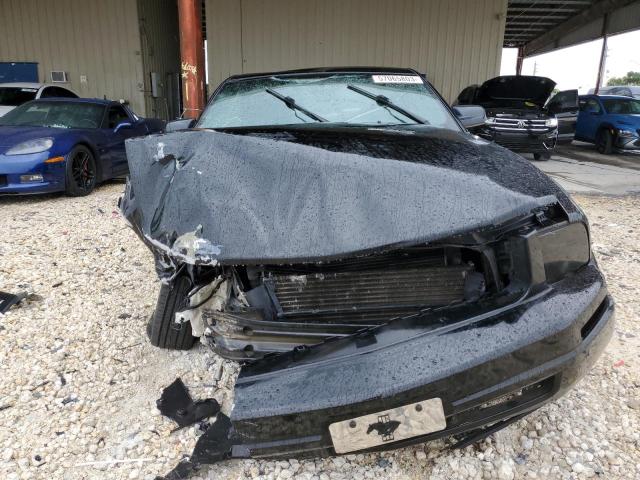 Photo 5 from auction – 2005 FORD MUSTANG with VIN 1ZVFT80N855192805