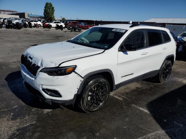 JEEP CHEROKEE A 2023 with VIN 1C4PJMMB6PD112299 - Photo from auction