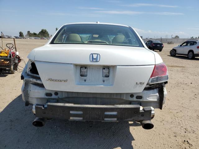 Photo 6 from auction – 2010 HONDA ACCORD EXL with VIN 5KBCP3F84AB014396