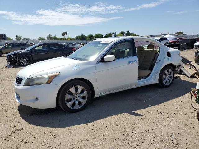 HONDA ACCORD EXL 2010 with VIN 5KBCP3F84AB014396 - Photo from auction