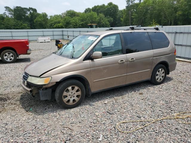 HONDA ODYSSEY EX 2004 with VIN 5FNRL18914B079841 - Photo from auction