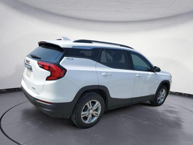 Photo 3 from auction – 2020 GMC TERRAIN SL with VIN 3GKALTEV4LL253996