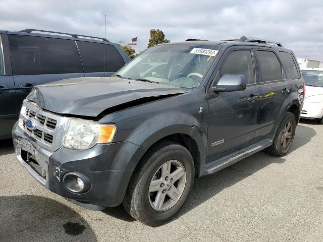 FORD ESCAPE HEV 2008 with VIN 1FMCU49H28KC16686 - Photo from auction
