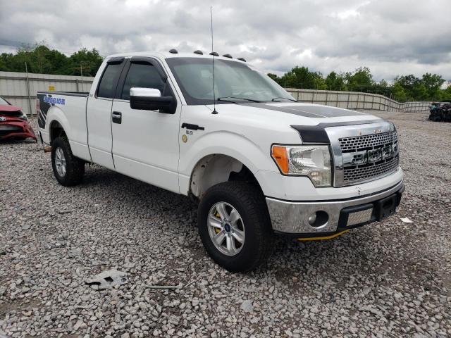 Photo 4 from auction – 2013 FORD F150 with VIN 1FTFX1EF1DKD64351