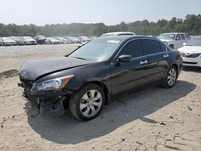 HONDA ACCORD EXL 2010 with VIN 1HGCP3F85AA014447 - Photo from auction