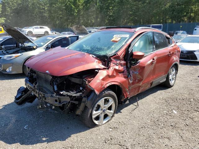 FORD ESCAPE SE 2014 with VIN 1FMCU0GX5EUD38767 - Photo from auction