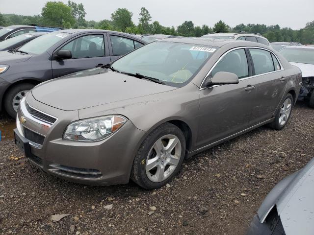 CHEVROLET MALIBU 2010 with VIN 1G1ZC5EB5AF308374 - Photo from auction
