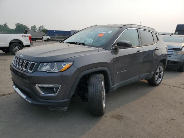 JEEP COMPASS LI 2020 with VIN 3C4NJDCB9LT119809 - Photo from auction