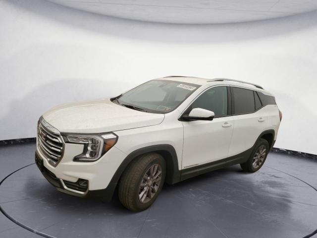 GMC TERRAIN SL 2023 with VIN 3GKALVEG8PL127580 - Photo from auction