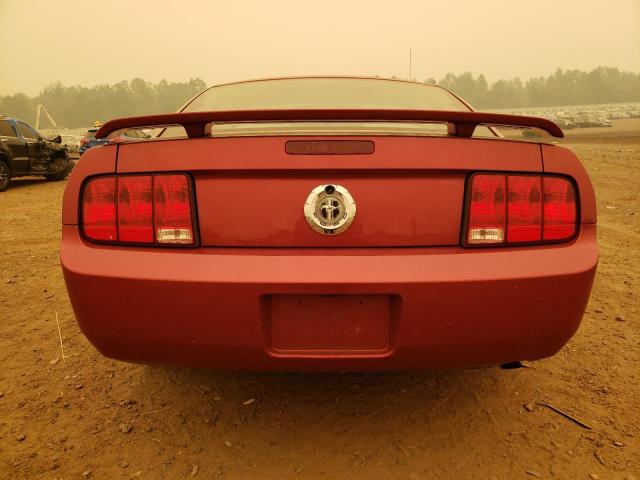 Photo 6 from auction – 2006 FORD MUSTANG with VIN 1ZVFT80N965241981