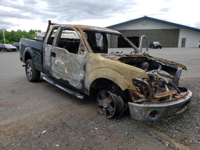 Photo 4 from auction – 2010 FORD F150 SUPER with VIN 1FTEX1EW3AFB74292