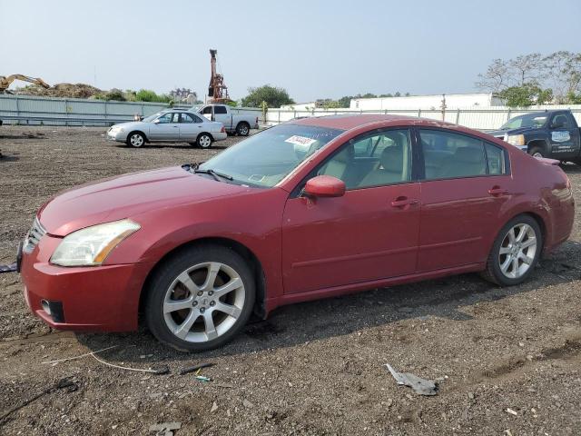 NISSAN MAXIMA 2008 with VIN 1N4BA41E18C834379 - Photo from auction