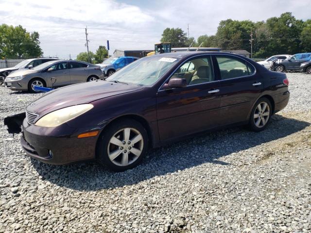 LEXUS ES 330 2005 with VIN JTHBA30G055058204 - Photo from auction