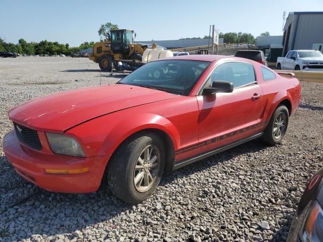 FORD MUSTANG 2005 with VIN 1ZVFT80N455112464 - Photo from auction