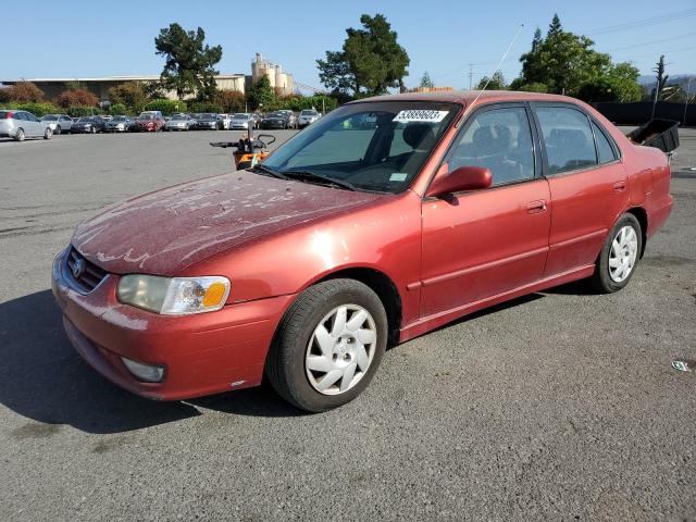 TOYOTA COROLLA CE 2001 with VIN 1NXBR12E01Z418366 - Photo from auction