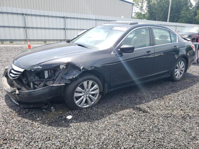 HONDA ACCORD EXL 2011 with VIN 1HGCP2F82BA133066 - Photo from auction