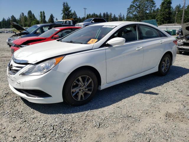 HYUNDAI SONATA GLS 2014 with VIN 5NPEB4AC0EH890249 - Photo from auction