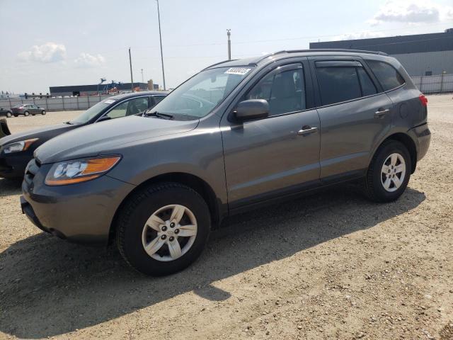 HYUNDAI SANTA FE G 2009 with VIN 5NMSG13D99H326384 - Photo from auction
