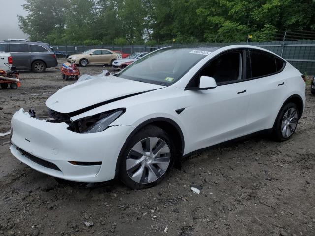 TESLA MODEL Y 2023 with VIN 7SAYGDEEXPF703498 - Photo from auction