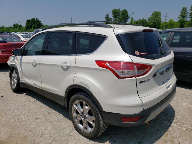 Photo 2 from auction – 2013 FORD ESCAPE SEL with VIN 1FMCU0H98DUD52516