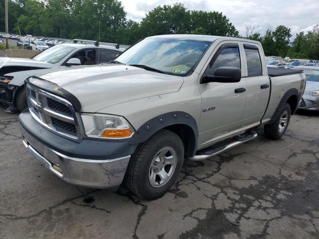 DODGE RAM 1500 2010 with VIN 1D7RV1GP0AS244342 - Photo from auction