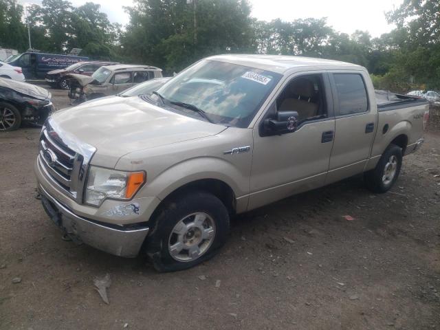 FORD F150 SUPER 2010 with VIN 1FTEW1E81AFA61171 - Photo from auction